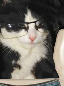 SHEIN 少女款 INAWLY 可爱猫咪印花短款 Y2K 风夏季T恤，休闲朋克猫眼图案修身露脐上衣，适合夏季和秋季穿着，舒适百搭，时尚休闲，图案印花，适合返校、返校节、户外野餐、街头摄影、居家、校园等场合。 - 彩色 - 查看 4