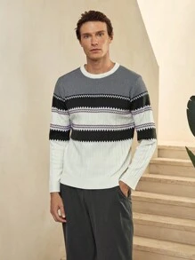Manfinity CityGents 男士 Old Money 休闲拼色条纹毛衣，秋冬男士毛衣 男士条纹毛衣 男士图案针织衫 男士针织上衣 男士毛衣上衣 男士针织套头衫 - 彩色 - 查看 3