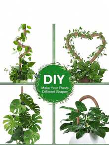 1/2 件 DIY 可弯曲植物支撑杆，柔性苔藓杆，自由形态攀爬藤蔓杆，用于支撑植物、怪异植物、攀缘植物、室内植物、花卉和盆栽植物（带桩和支架），春季装饰秋季装饰，圣诞节装饰万圣节装饰，返校客厅装饰墙面装饰，卧室窗帘