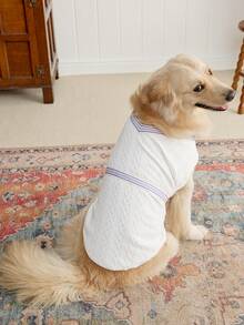 PETSIN V-Neck Knitted Pet Vest, Suitable For Cats And Dogs, Collegiate Style - Multicolor - View 1