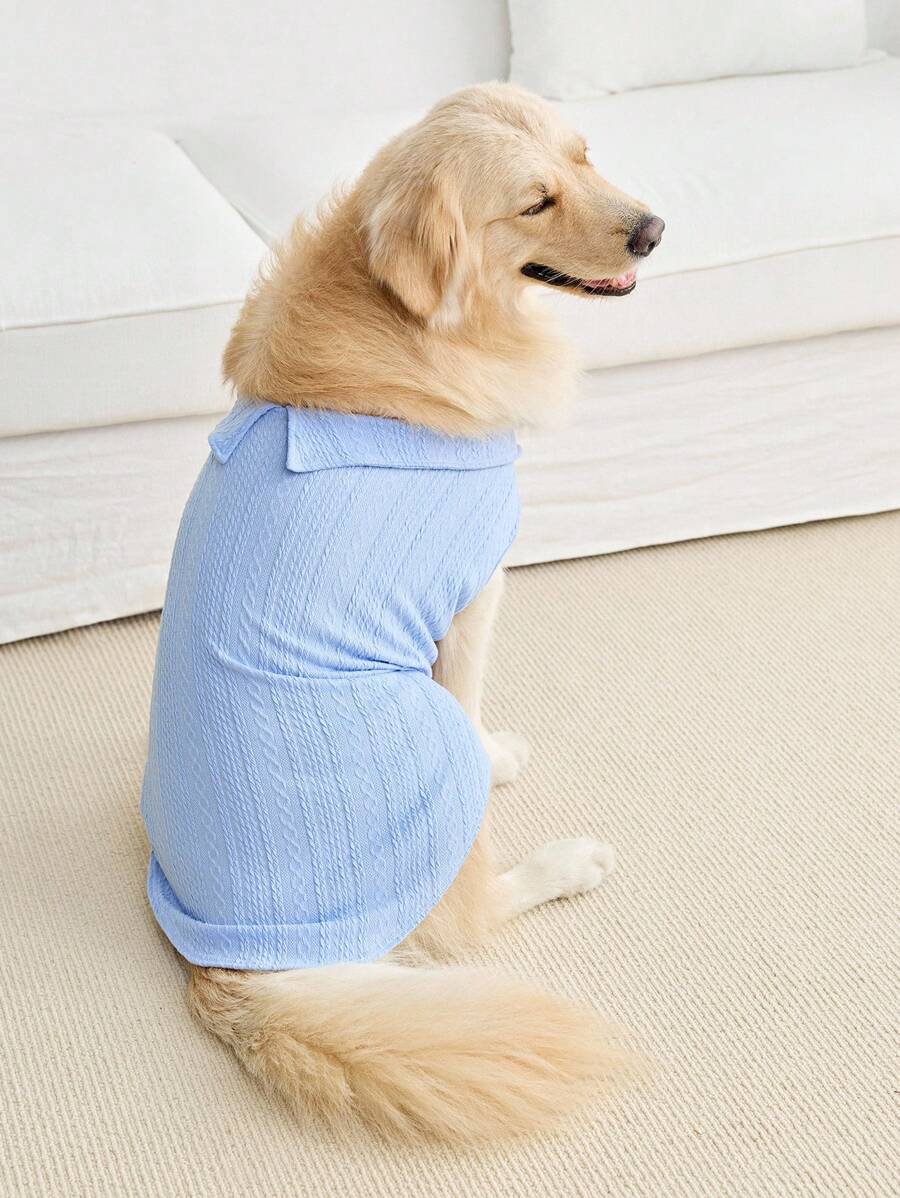 PETSIN 1 件蓝色麻花针织 Polo 衫,适合宠物,猫狗适用 - 藍色 - 查看 1