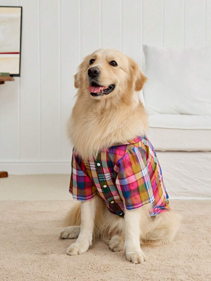 PETSIN 1pc Colorful Plaid Cute Pet (Cat/Dog) Shirt - Multicolor - View 1