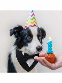 1pc Dog Tuxedo, Dog Wedding Bandana Scarf, Pet Bow Collar, Adjustable Dog Tux Formal Costumes For Birthday Party, Suitable For Small Medium And Large Dog Cat, Dog Valentines Outfit Cosplay