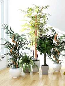 1/2 件 DIY 可弯曲植物支撑杆，柔性苔藓杆，自由形态攀爬藤蔓杆，用于支撑植物、怪异植物、攀缘植物、室内植物、花卉和盆栽植物（带桩和支架），春季装饰秋季装饰，圣诞节装饰万圣节装饰，返校客厅装饰墙面装饰，卧室窗帘