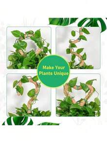 1/2 件 DIY 可弯曲植物支撑杆，柔性苔藓杆，自由形态攀爬藤蔓杆，用于支撑植物、怪异植物、攀缘植物、室内植物、花卉和盆栽植物（带桩和支架），春季装饰秋季装饰，圣诞节装饰万圣节装饰，返校客厅装饰墙面装饰，卧室窗帘