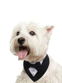 1pc Dog Tuxedo, Dog Wedding Bandana Scarf, Pet Bow Collar, Adjustable Dog Tux Formal Costumes For Birthday Party, Suitable For Small Medium And Large Dog Cat, Dog Valentines Outfit Cosplay