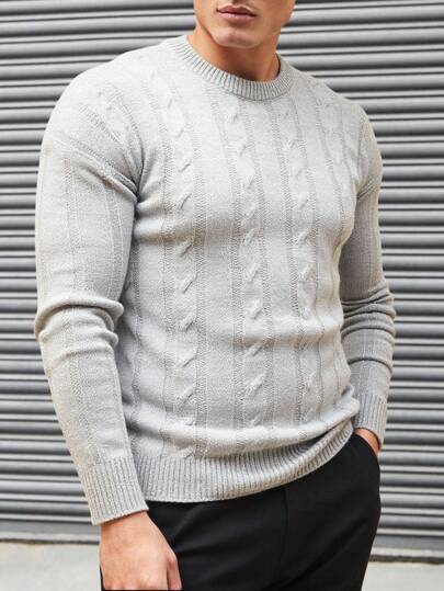SHEIN Men AW Fashion Crew Neck Cable Knit Regular Sweater