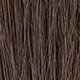 S2A