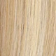 S16/22A
