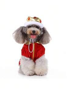 PETSIN Halloween & Christmas Holiday Pet Costume King Outfit