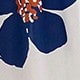 彩色