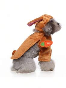PETSIN 万圣节宠物兔子服装，立式设计，可爱猫狗衣服 - 橘色 - 查看 4