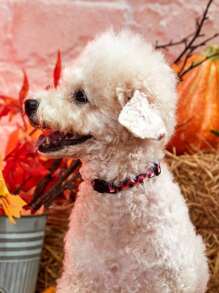 PETSIN Collar de mascota con diseño de patrones de Halloween, lindo y creativo - Multicolor - Ver 5