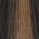 S1B/6/1B