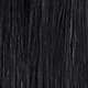 S1