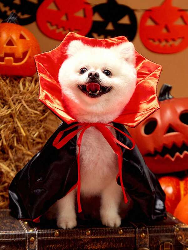 PETSIN Capa de vampiro roja y negra para Halloween, disfraz para mascotas