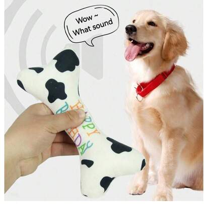 애완 동물 고양이 장난감, 개 장난감, 달래는 셀카, 치아 청소, 쫄깃한 생일 케이크, 생일 선물, 뼈, 파티 및 사운드