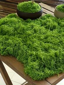 SHEIN 逼真人造苔藓绿色 DIY 工艺装饰逼真假草适用于微型景观婚礼情人节礼物家居花园装饰假植物户外室内 - 彩色 - 查看 5
