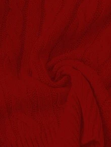 GlowEve CURVE 大码女式休闲时尚修身圆领长袖麻花针织套头衫，秋冬 - 紅色 - 查看 5