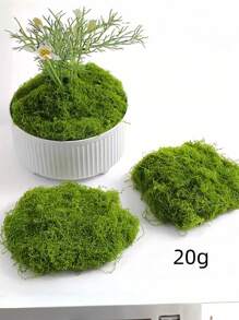 SHEIN 逼真人造苔藓绿色 DIY 工艺装饰逼真假草适用于微型景观婚礼情人节礼物家居花园装饰假植物户外室内 - 彩色 - 查看 6