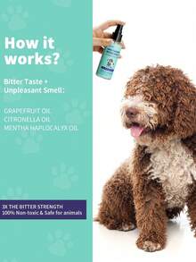 3 Pcs/5 pcs Semprotan Anti Kunyah untuk Anjing, Menghentikan Mengunyah, Menjilat, dan Menggigit - Koreksi Perilaku Hewan Peliharaan 3,38 Oz (100 ml) - MultiWarna - View 5