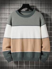 SHEIN Tween-Jungen Jacquard Sweatshirt in Kontrastfarbe, weißer Hose, einfarbigem T-Shirt, Cartoon Shirt, grauem Kapuzenpullover, Jungen Sweatshirt, Jeans kombiniert werden - Weiss - Übersicht 6