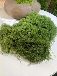 SHEIN 逼真人造苔藓绿色 DIY 工艺装饰逼真假草适用于微型景观婚礼情人节礼物家居花园装饰假植物户外室内 - 彩色 - 查看 13