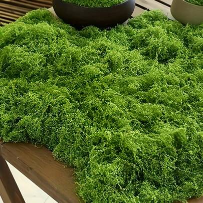 SHEIN Gerçekçi Yapay Yosun Yeşili Kendin Yap El Sanatları Dekoru Minyatür Peyzaj Düzenlemesi, Düğün, Sevgililer Günü Hediyesi, Ev, Bahçe Dekoru, Sahte Bitki, Dış Mekan, İç Mekan