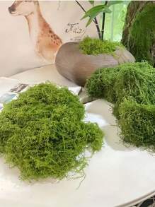 SHEIN 逼真人造苔藓绿色 DIY 工艺装饰逼真假草适用于微型景观婚礼情人节礼物家居花园装饰假植物户外室内 - 彩色 - 查看 10