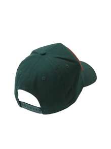 New Era LICENSE PLATE EFRAME USA CALIFORNIA CAP - Dark Green - View 2