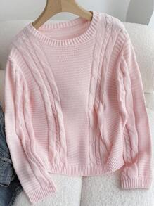 SHEIN TEENGIRL Loose Fit Crew Neck Long Sleeve Cable Knit Sweater, Casual College Style Pink Sweater For Girls Pink Sweater Tween Sweater For Tweens Teen Sweater Girls Pink Cable Knit Sweater Cropped Sweater Light Pink Sweater Aesthetic Sweater,In Fall/Winter