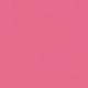 Pink Flamingo