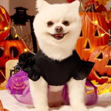 1 件猫狗通用卡通骷髅印花蝙蝠装饰万圣节紫色网眼拼布盖袖可爱宠物连衣裙，适合万圣节派对，PETSIN 原创设计 - 彩色 - 查看 5