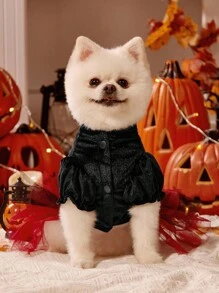 PETSIN 1pc Pet Clothing Autumn/Winter Black Skull Head Pirate Halloween Dress Cat Dog Universal Dog Clothing