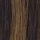 S2/10