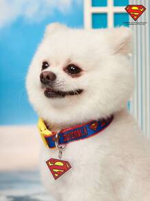 SUPERMAN X PETSIN 1pc Durable Printed Webbing Dog Collar With Buckle Closure