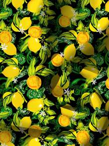 EMERY ROSE 大码女装日常休闲度假V领小飞袖度假风夏季夏季黄色假日柠檬图案宽松衬衫女夏装女装度假装女