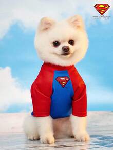 SUPERMAN X PETSIN 1 件图案印花撞色插肩袖猫狗宠物友好舒适圆领 T 恤 - 彩色 - 查看 6