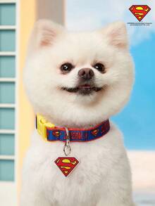 SUPERMAN X PETSIN 1pc Durable Printed Webbing Dog Collar With Buckle Closure