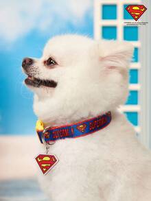 SUPERMAN X PETSIN 1pc Durable Printed Webbing Dog Collar With Buckle Closure
