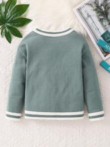 1pc Young Boy Casual School Comfortable Fashion Simple Practical Versatile Letter Graphic Contrast Color Crew Neck Long Sleeve Raglan Sweater, Boy, School, Back To School, Daily Wear, Outdoor, Sports, Autumn/Winter Knit Sweater Letter A Sweater Sweater With Letter Sweater Sweater Fall - Mint Green - View 2