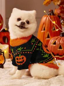 PETSIN 1 Piece Of Cat/Dog Universal Pet Clothing, Pumpkin Halloween Sweater Pullover, Autumn And Winter Warm Thread Clothing, Dog Clothing - Orange black - View 2