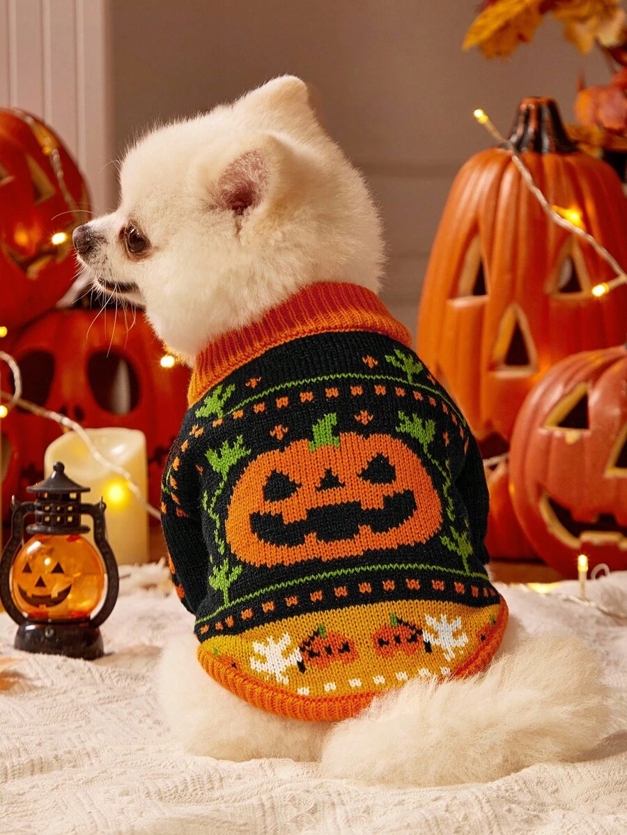 PETSIN 1 Piece Of Cat/Dog Universal Pet Clothing, Pumpkin Halloween Sweater Pullover, Autumn And Winter Warm Thread Clothing, Dog Clothing - Orange black - View 1