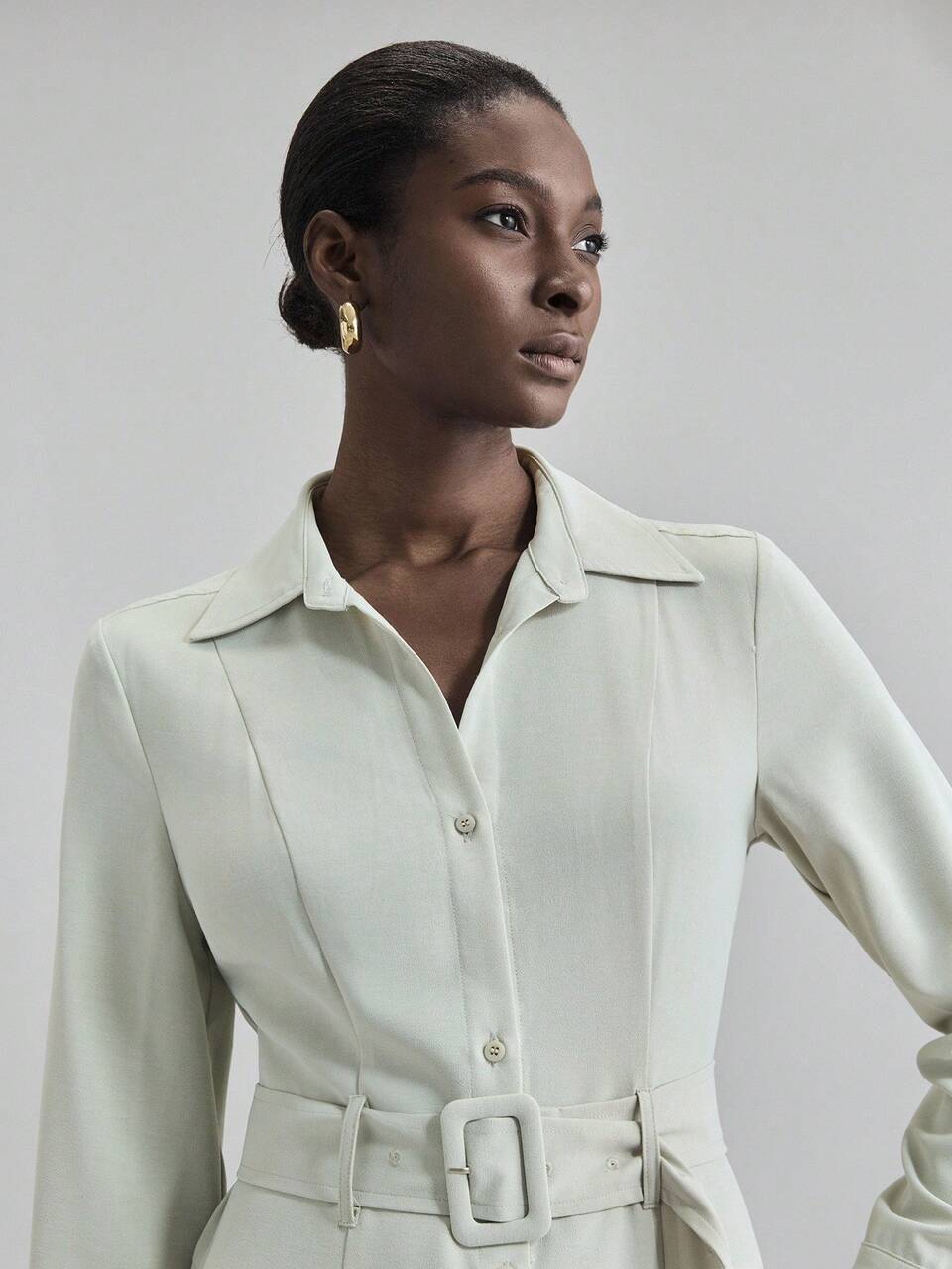 Sage Green Autumn Women's Elegant Long Sleeve Waist Cinched Dress,Vintage Style Office Business Casual Commuter Long Dress,Urban Chic Party Clothing