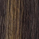 S2/6