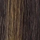 S2/6