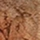 Rust Brown
