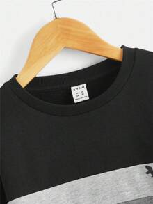 Sweatshirt Pullover Lengan Panjang Warna Hitam Blok dengan Detail Patch Dinosaurus, Kasual Sehari-hari, Kerah Bulat, Anak-anak, Musim Dingin, Musim Gugur - Hitam - View 4