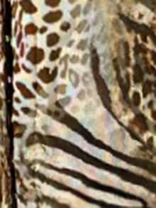 SHEIN ICON Trägertop mit Leoparden-Muster und Mini-Rock mit tiefer Taille als Set - Verschiedenfarbig - Übersicht 7