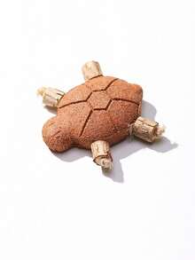 PETSIN 1 Piece Creative Cat Fishbone Toy, Tortoise Cat Toy, Wood Geranium Tooth Stick, Simulation Fish, Tooth Stick, Cat Self-Made Catn Toy, Gall Fruit Pet Toy - Multicolor - View 18
